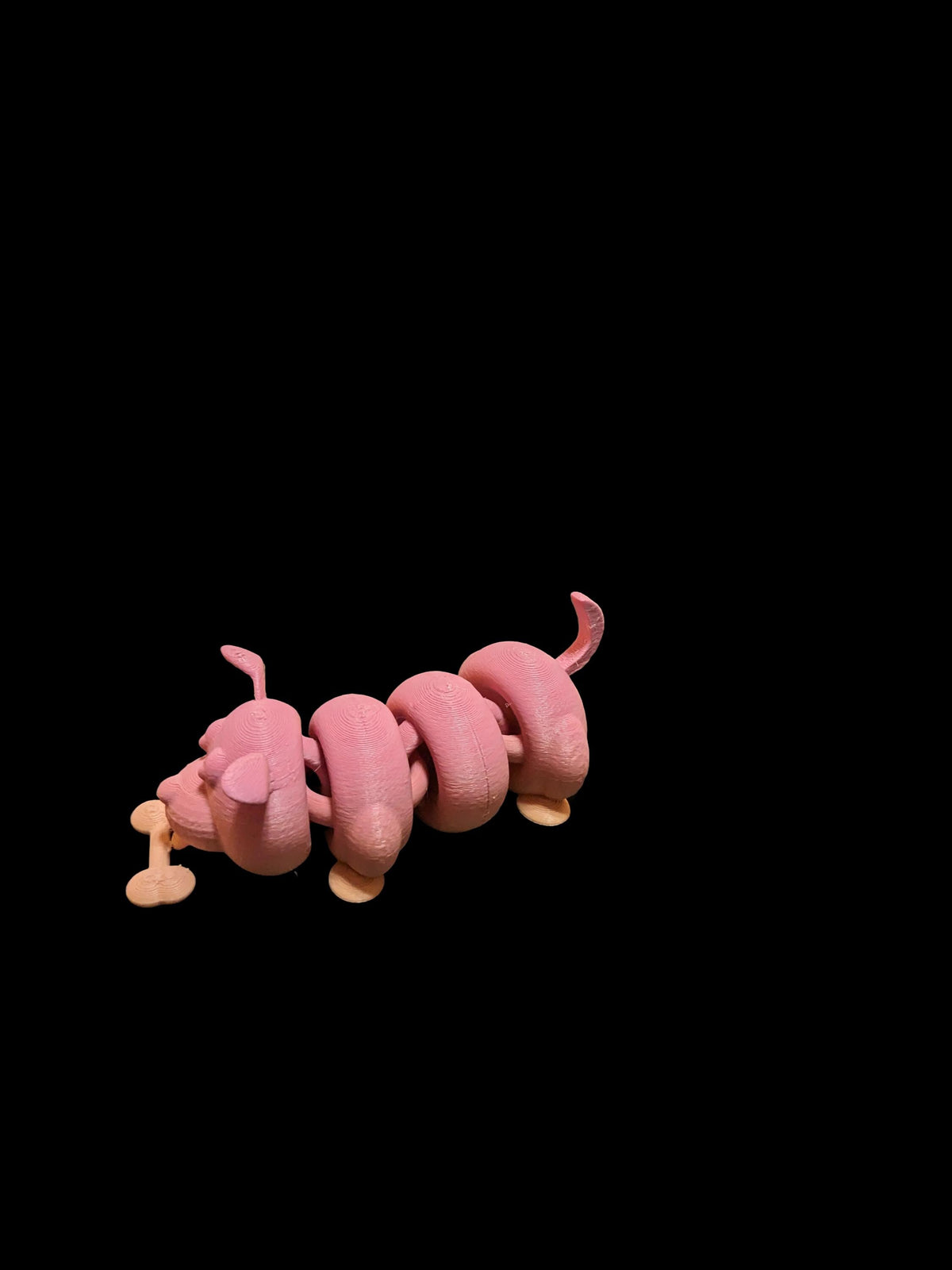Cute Flexible Puppy with Bone